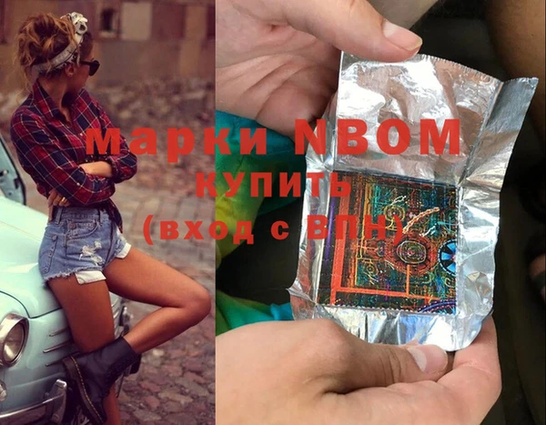 индика Саяногорск