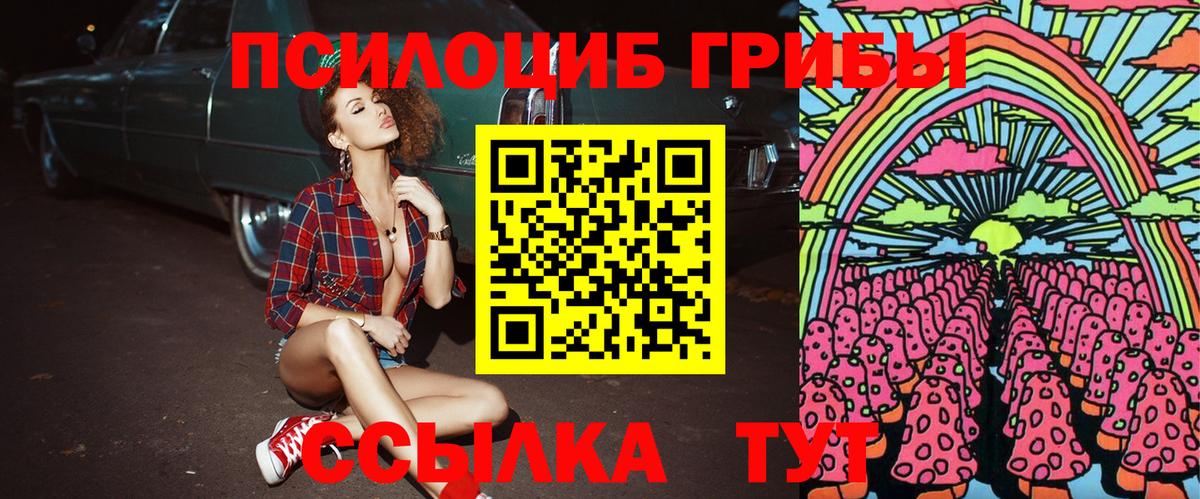 Псилоцибиновые грибы ЛСД Апшеронск