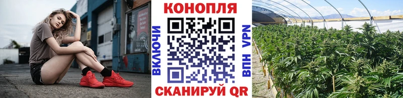 Шишки марихуана Amnesia  Апшеронск 